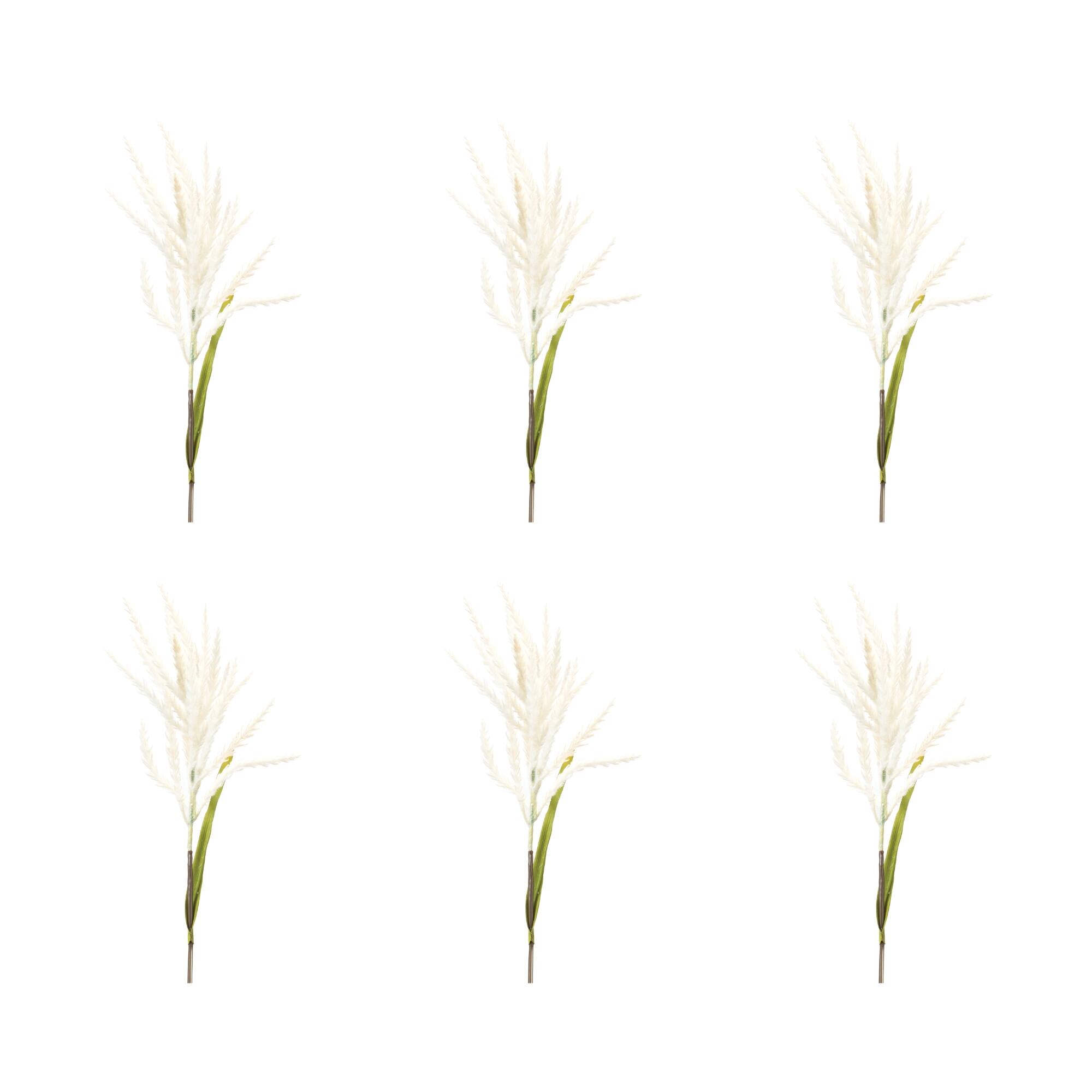 34" White Astilbe Stems, 6ct.
